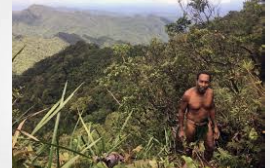 Solomon Isles Media Report: "Marijuana farming in Malaita on the rise"