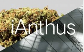 iAnthus sells up in AZ