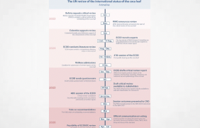 IDPC Article: UN level engagement  The UN review of the international status of the coca leaf