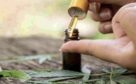 CBD Oil in Australia: What Consumers Should Know Before Buying