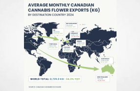 Australia Importing 3,500 Kilos Of Canadian Weed A Month Says Latest Report From Canadian Cannabis Exchange