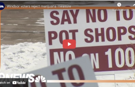 CO: Windsor voters reject marijuana measure