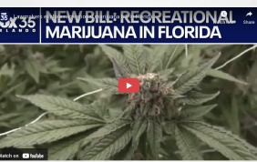 Lawmakers explore recreational marijuana bill in Florida