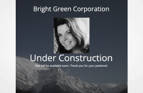 Bright Green Corporation files for Chapter 11  enters  restructuring support agreement with owner Lynn Stockwell