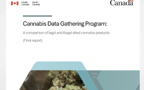 Canada New Govt Report: Cannabis Data Gathering Program: A comparison of legal and illegal dried cannabis products