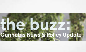 Holland & Hart - the buzz: Cannabis News & Policy Update | February 2025