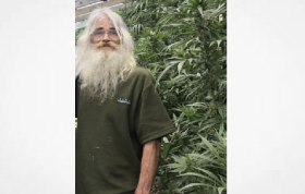 New Zealand: Police bust ‘Gandalf’, leaving hundreds without medicinal cannabis