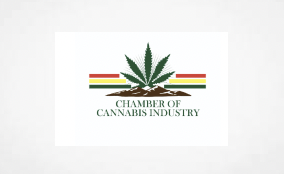 Ghana Chamber of Cannabis Industry Appeals To Govt To Fast Track Cannabis Development