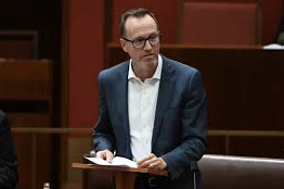 Karma Koala Podcast 237: Australia – Sen David Shoebridge, Greens Party - "In The Not Too Distant Future I'd Like To Head To The Cannabis Cafe, Rather Than The Pub On A Friday Evening After A Hard Week In The Senate"