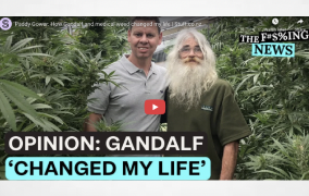 New Zealand: Paddy Gower: How Gandalf and medical weed changed my life | Stuff.co.nz