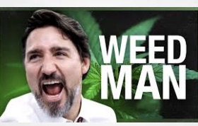 Trudeau Most Popular For Cannabis Legalization New Poll Finds