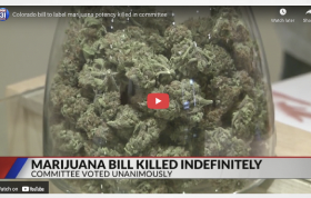 Colorado bill to label marijuana potency killed in committee