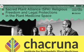 Chacruna You Tube Channel Features recordings from Psychedelic Culture 2024