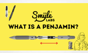 ABC - Australia: Cannabis vapes disguised as pens, lip balm, even airpod  cases - "penjamins" | Cannabis Law Report