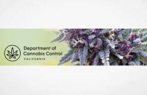 Alert: $30 Million Available to Fund  Cannabis Research 