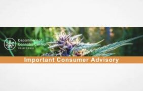 Notification of Multiple Voluntary Recalls June 27, 2025    Golden Nuggets and Solis flower