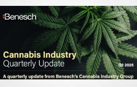Cannabis Industry Quarterly Update: Q2 2025