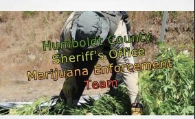 Humboldt : Search Warrant at Rio Dell Property Allegedly Yieldscannabis Grow and Illegal Firearms