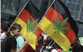 Total Approved German Cultivation Associations Nears 300
