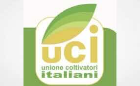 Italian Agricultural Group Considers Launching Industrial Hemp Project in Kazakhstan