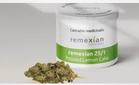 Article: High Tide x Remexian: A Clear Signal—and a Stress Test—for Germany’s Medical Cannabis Market