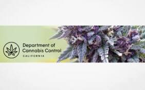 Updates to better align the DCC’s licensing systems with existing regulatory requirements 