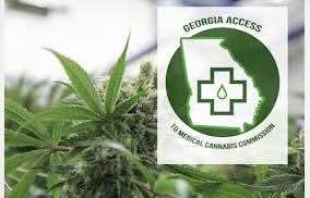 GA Cannabis Commission - General Counsel: Director of Legal Services
