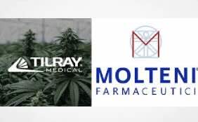 Tilray's Strategic Expansion in Italy: A Catalyst for Growth in the European Medical Cannabis Market