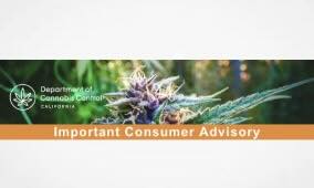 California: Notification of Multiple Voluntary Recalls August 1, 2025   Malibu Skateboards infused pre-roll