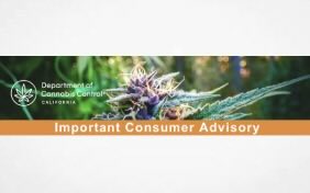 Notification of Voluntary Recall August 22, 2025    Mr. Zips vape cartridge