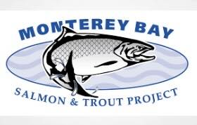 Cannabis Money To Help Salmon In California