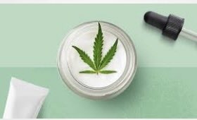From Symptom Control to Whole-Body Care: The Evolving Role of Medical Cannabis