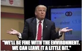 Article: Hemp is but one victim in Trump’s gutting of Biden-era environmental programs