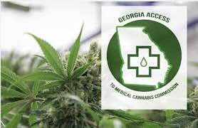 Georgia Cannabis Commission - General Counsel: Director of Legal Services 115K PA