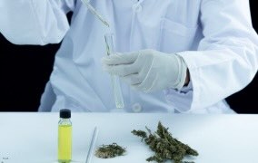 How Lab-Tested Products and Reliable Delivery Improve Trust in Cannabis Purchases