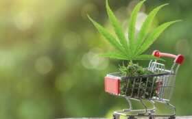First-Time Buyer’s Guide to Cannabis Delivery in Sacramento