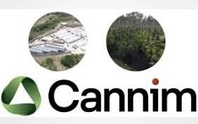 Australia: ‘Our vision can still be realised’, insists Cannim founder after firm calls in administrator