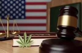Marijuana Attorneys and Their Expanding Role in Cannabis Law
