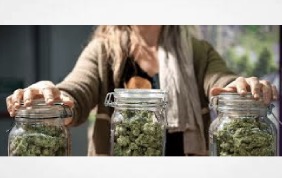 How To Find The Best Cannabis Deals In Your Area