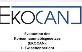 Document: ‘Ekocan’ report ( In German)