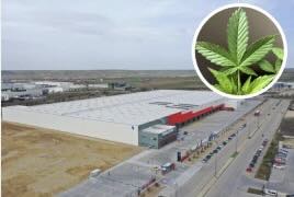 Spanish employee sacked for taking canna cake into work to celebrate his birthday