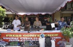 Bali police hunt foreign national  linked to hydroponic cannabis farm
