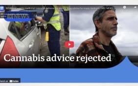 NSW govt rejects medicinal cannabis defence for drivers, drug advice for music festivals