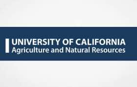 Paper: New research reveals California cannabis cultivation and regulatory process puts Tribal cultural resources at risk
