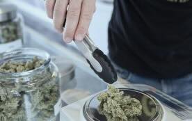 The Evolution of Cannabis Culture: From Counterculture  to Mainstream Wellness