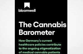 General Practitioner Physicians in Germany Rarely Prescribe Medical Cannabis Says New Survey