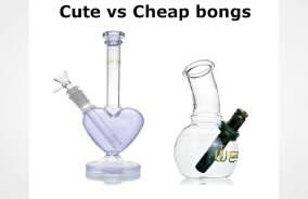Cute Bongs & Cheap Bongs: Finding the Perfect Balance Between Style and Affordability