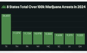 NORML: Police in These Eight States Made Over 100,000 Marijuana-Related Arrests in 2024
