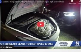 Massive cannabis haul found in stolen Tesla after Salinas high-speed chase