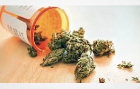 Paper: Therapeutic Use of Cannabis and Cannabinoids A Review